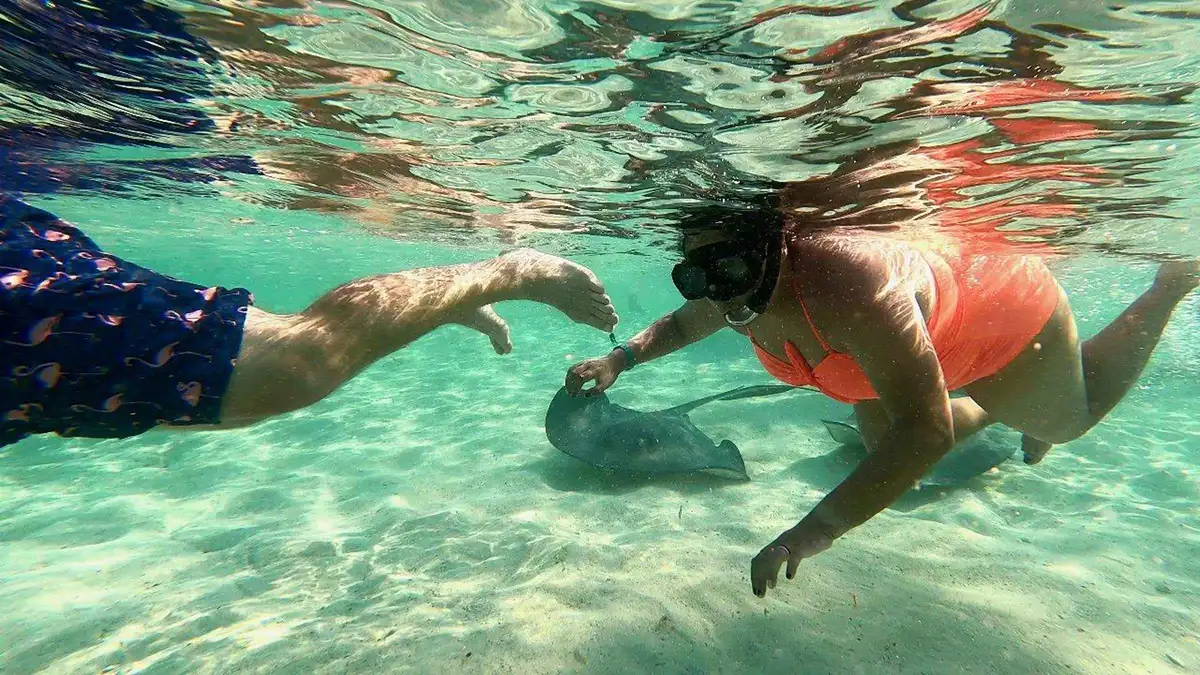 Snorkelers at the SS Sapona shipwreck off Bimini on a Bimini snorkeling tour, a Bahamas day trip from Miami