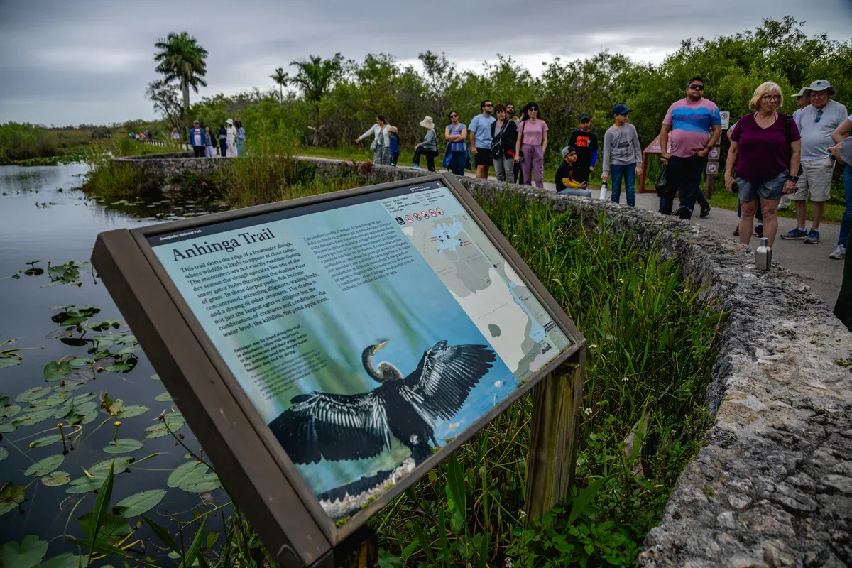 Visitors on the Anhinga Trail in Everglades National Park, one of the free day trips from Miami