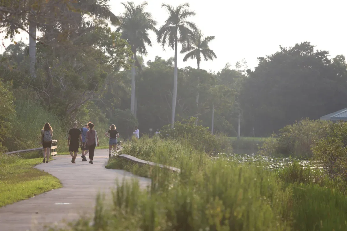 Visitors on the Anhinga Trail boardwalk, an option on a 3-day trip from Miami