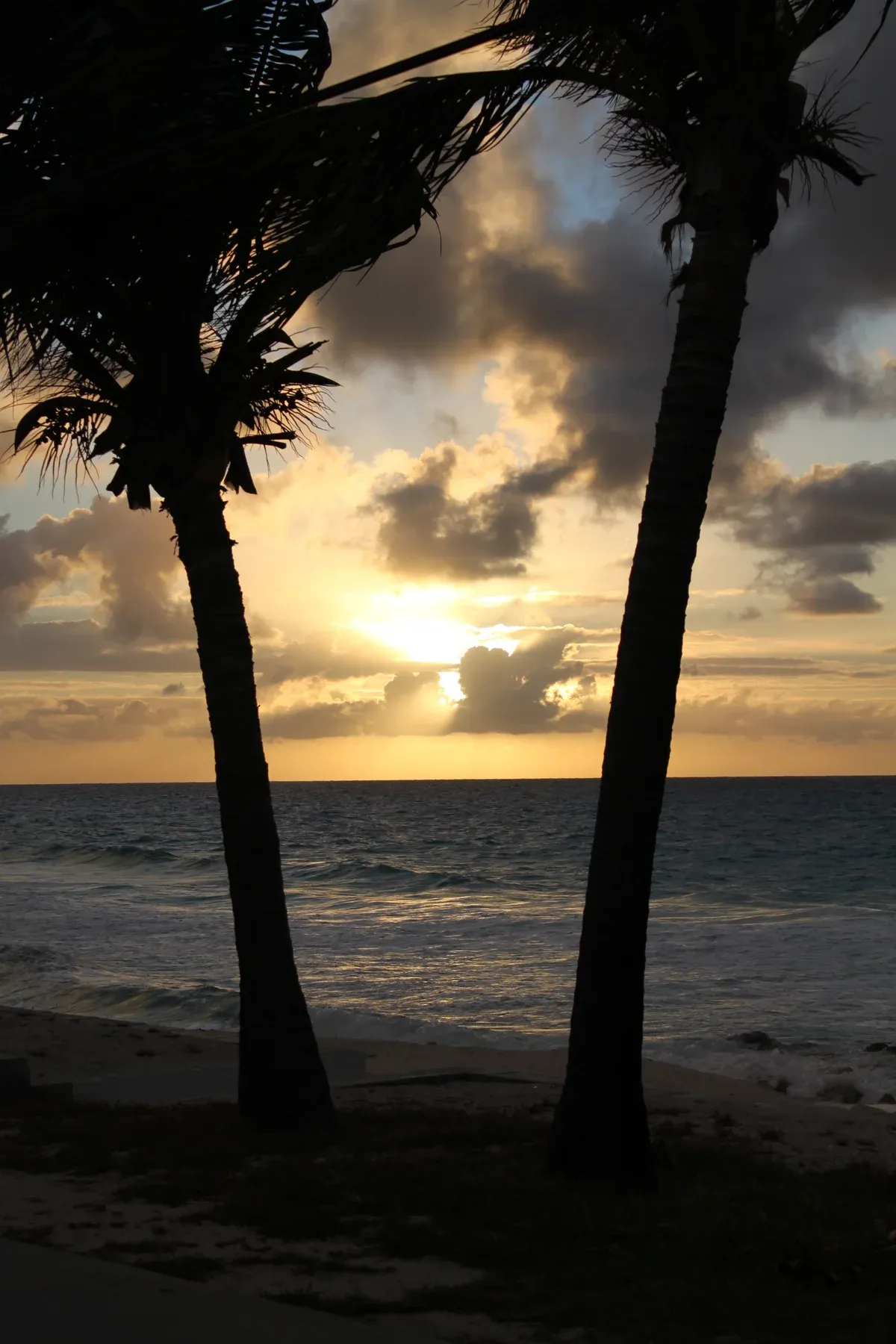 Sunset between two palms on a Bimini beach, an easy evening on things to do in Bimini