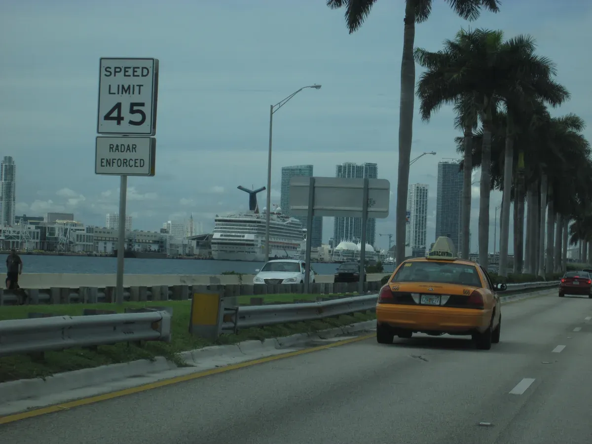 Cruise ships beyond palms on the approach road to PortMiami, where cruises from Miami depart