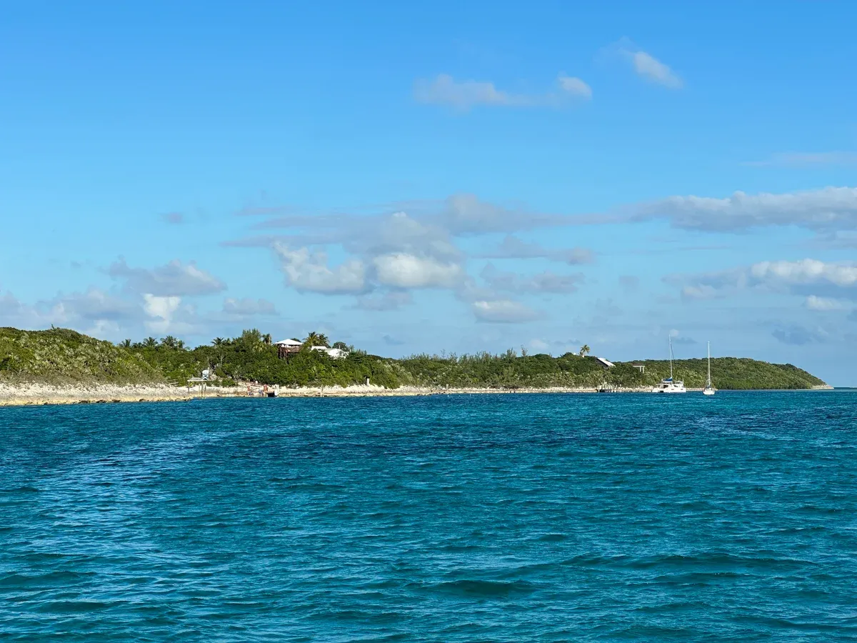 Low wooded shoreline of Rose Island from the sea, the beach club day known as Rose Island pig beach Nassau