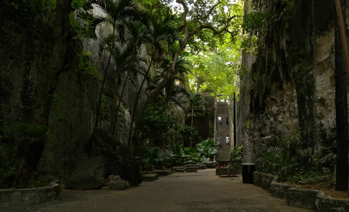 Limestone walls and palms along the Queen's Staircase, a stop on a Nassau island tour